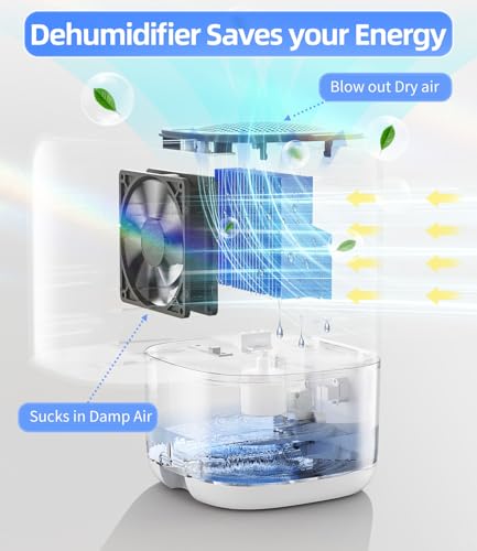 Quiet Dehumidifiers for Bedrooms: Features That Matter Most
