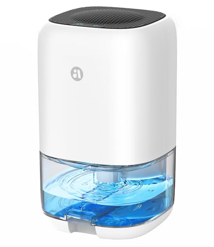 Mini Dehumidifier for Bedroom Review: What Most Buyers Actually Choose