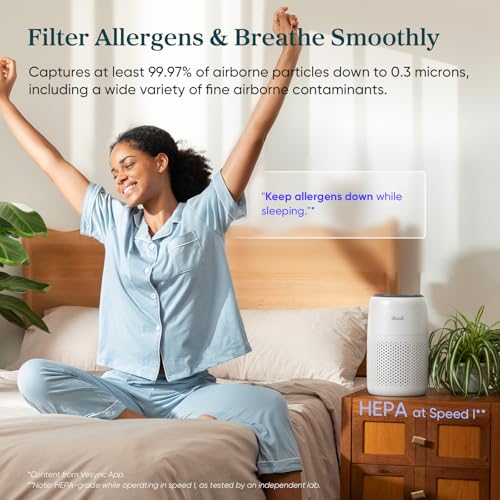 Air Purifier for Smoke Smell: What Most Buyers Actually Choose