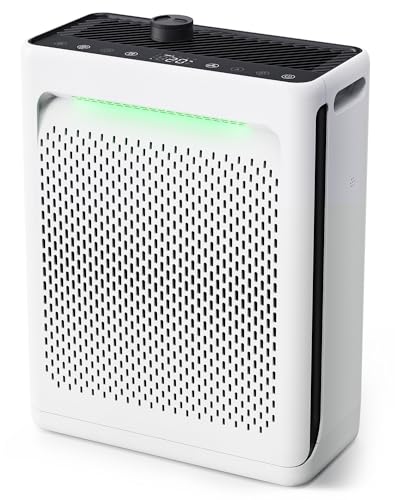 High CADR Air Purifier for Large Room Review: What Buyers Prefer High CADR Air Purifier for Large Room Review: What Buyers Prefer