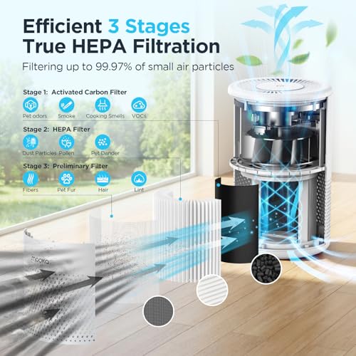 Air Purifier for 1000 sq ft: What Most Buyers Actually Choose Air Purifier for 1000 sq ft: What Most Buyers Actually Choose