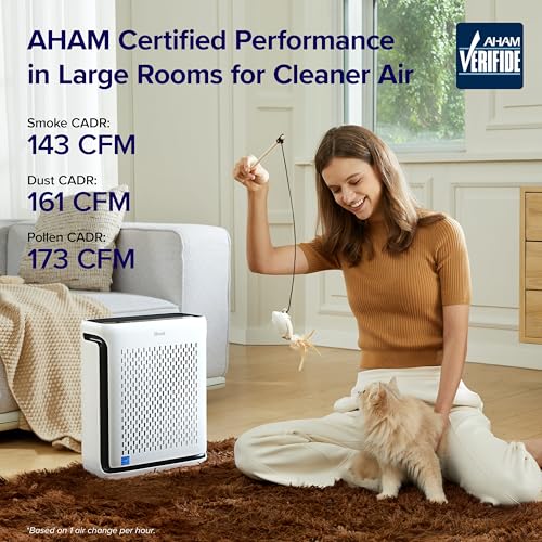 Hepa Large Room Air Purifier: What Most Buyers Actually Choose Hepa Large Room Air Purifier: What Most Buyers Actually Choose